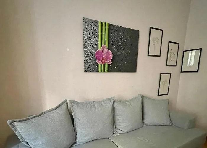 Apartment Gemutliche Mit Super Lage